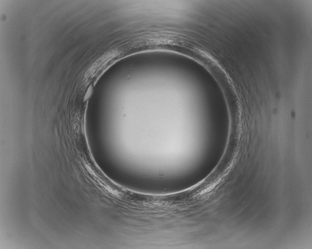 X0000054450785200508011428