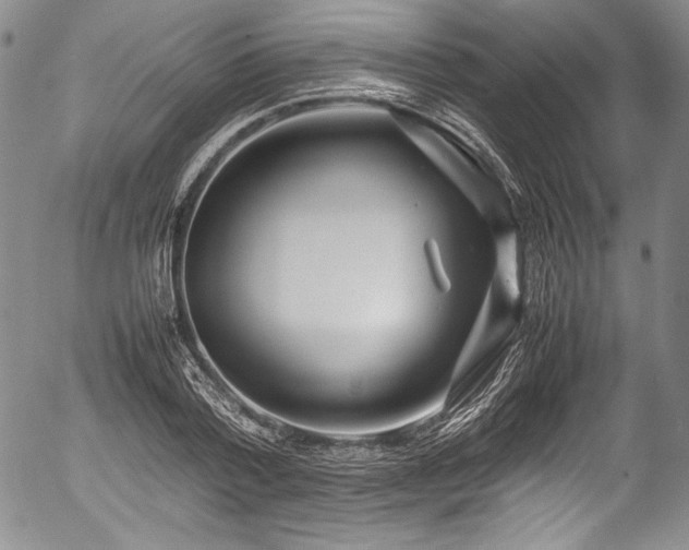 X0000054450788200508011428