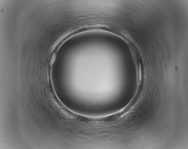 X0000054450789200508011428
