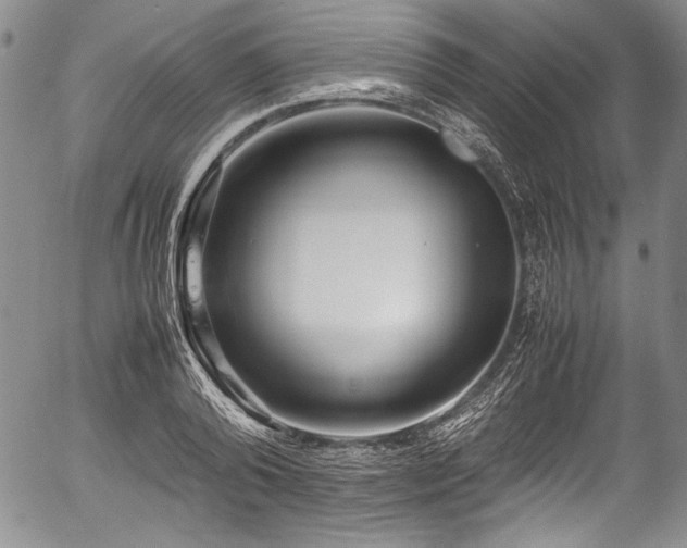 X0000054450792200508011428