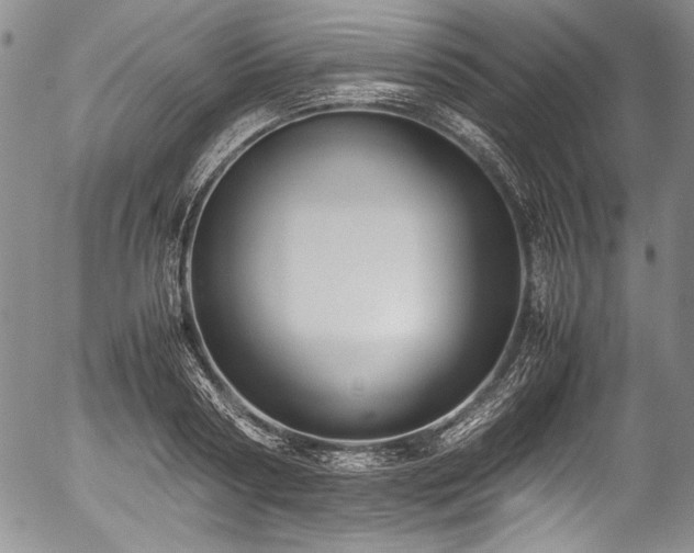 X0000054450794200508011428