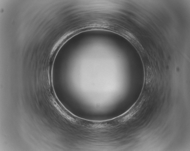 X0000054450796200508011428