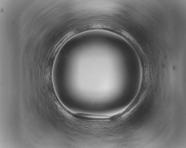 X0000054450801200508011428