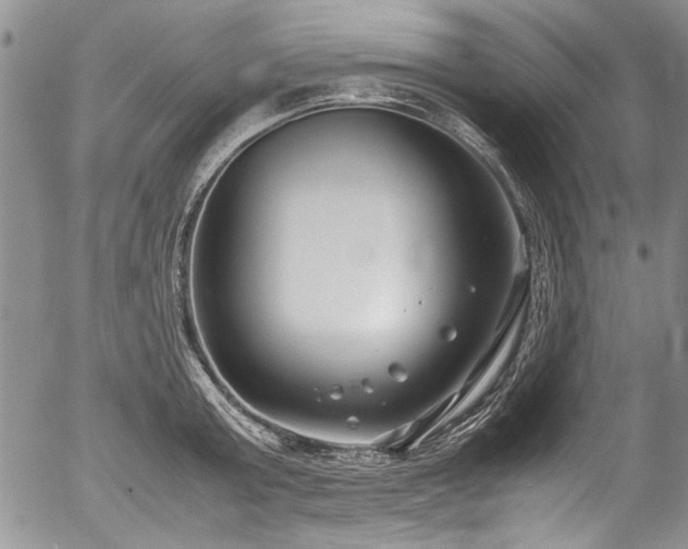 X0000054450803200508011428