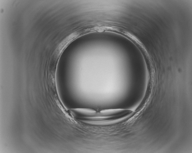 X0000054450809200508011428