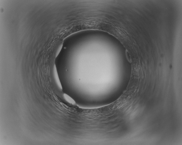 X0000054450817200508011427
