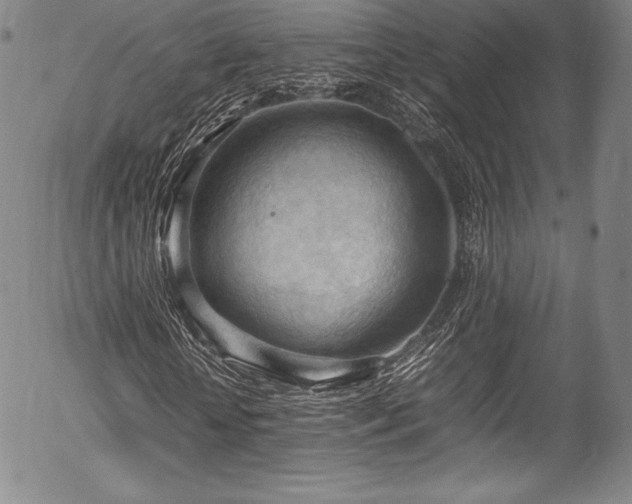 X0000054450818200508011427