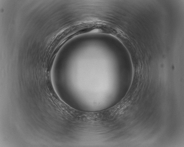 X0000054450822200508011427