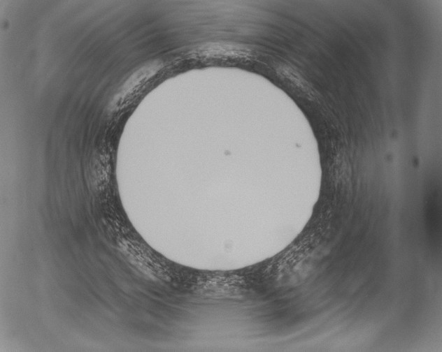 X0000054450824200508011427