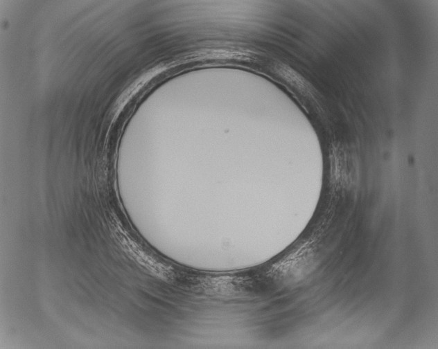 X0000054450828200508011427