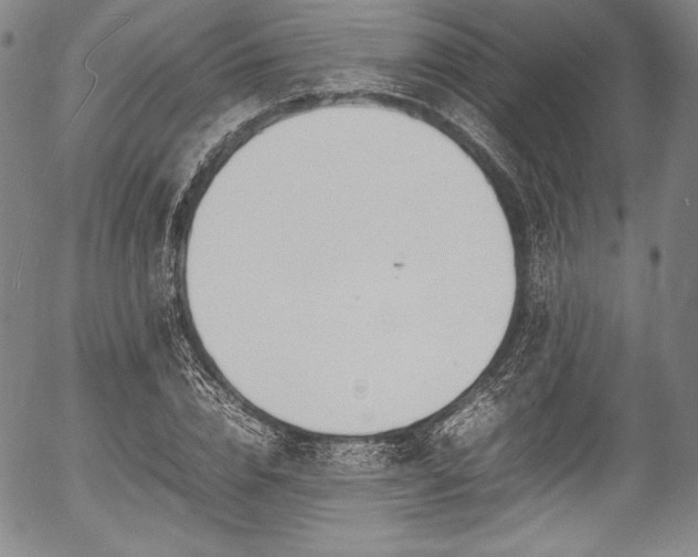 X0000054450832200508011427
