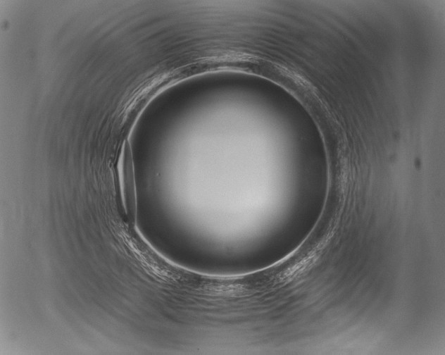 X0000054450833200508011427