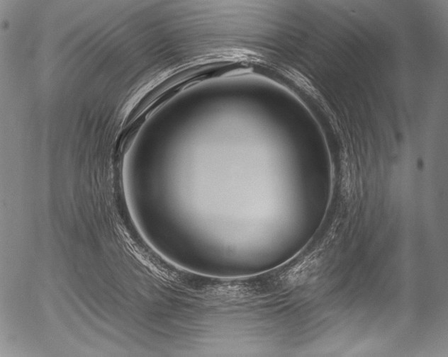 X0000054450834200508011427
