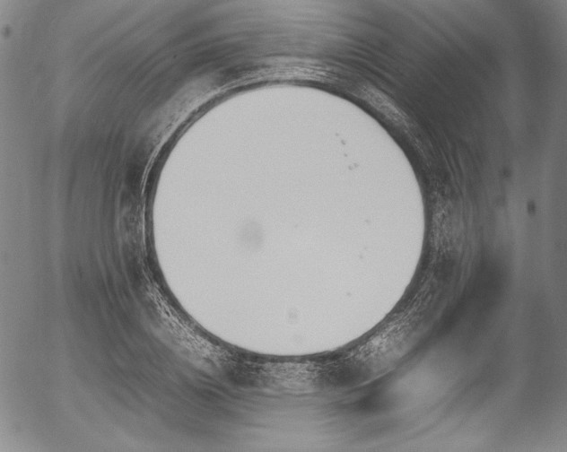 X0000054450836200508011427