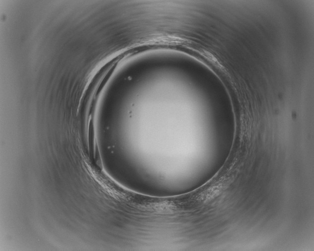X0000054450838200508011427