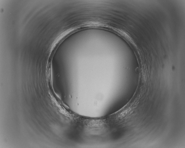 X0000054450839200508011427