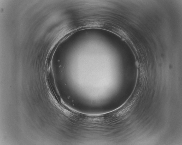 X0000054450843200508011427