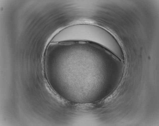 X0000054450864200508011427
