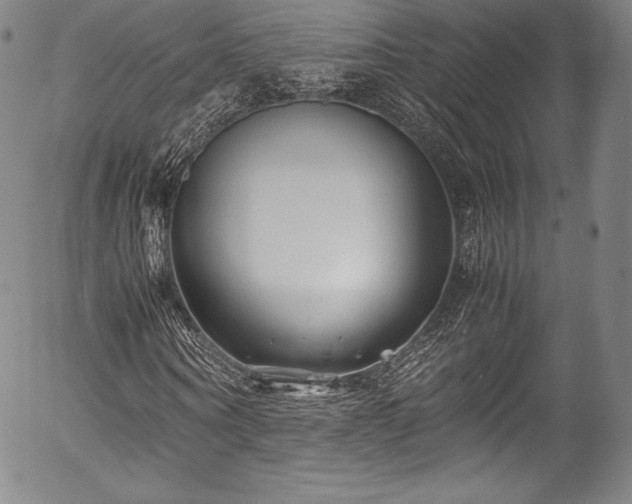 X0000054450866200508011427