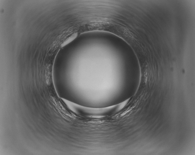 X0000054450868200508011427