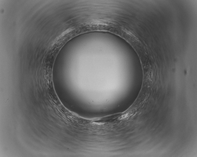 X0000054450870200508011427