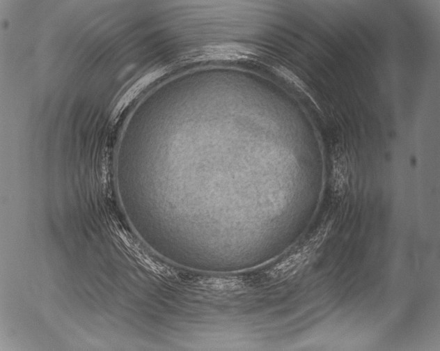 X0000054450874200508011426