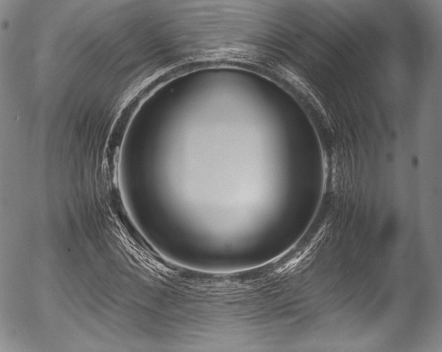 X0000054450876200508011426