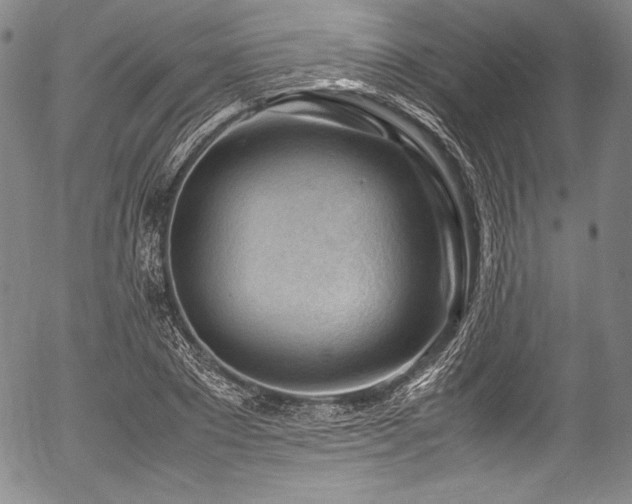 X0000054450881200508011426