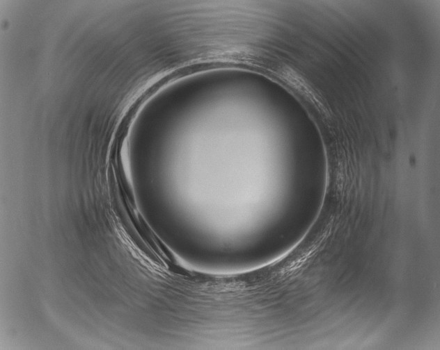 X0000054450884200508011426