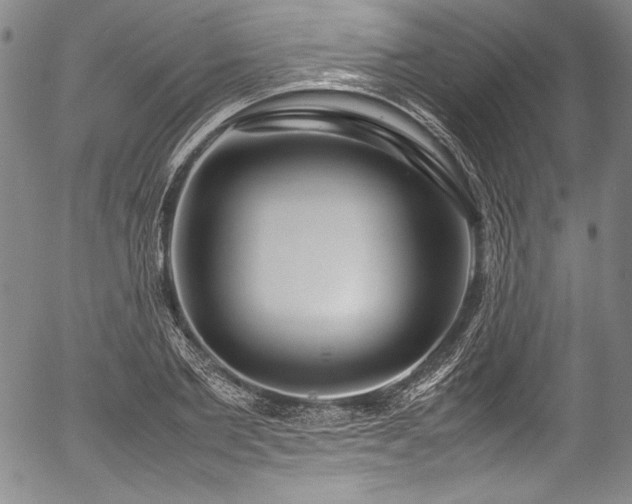 X0000054450885200508011426