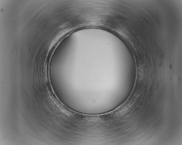 X0000054450886200508011426