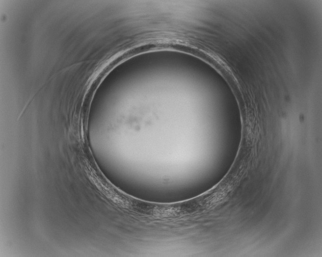 X0000054450887200508011426