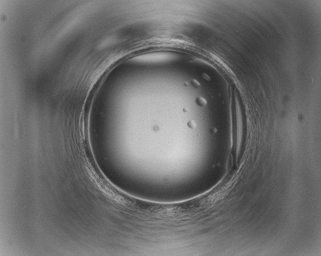 X0000054450891200508011426