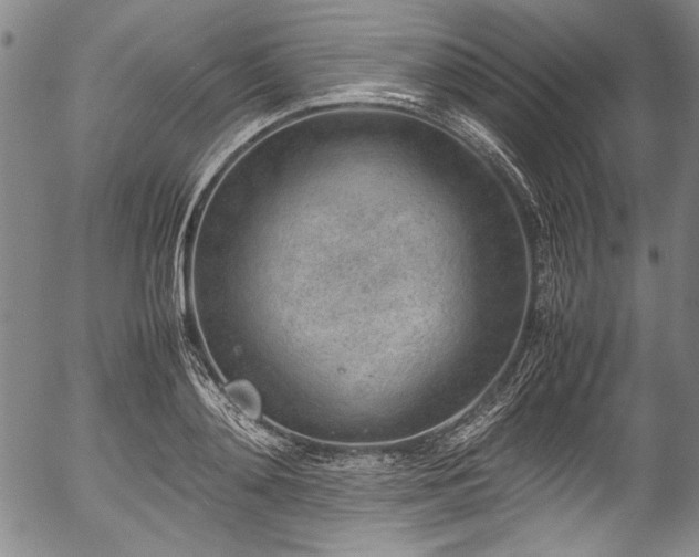 X0000054450892200508011426