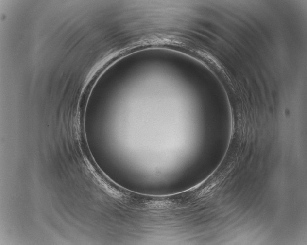 X0000054450894200508011426