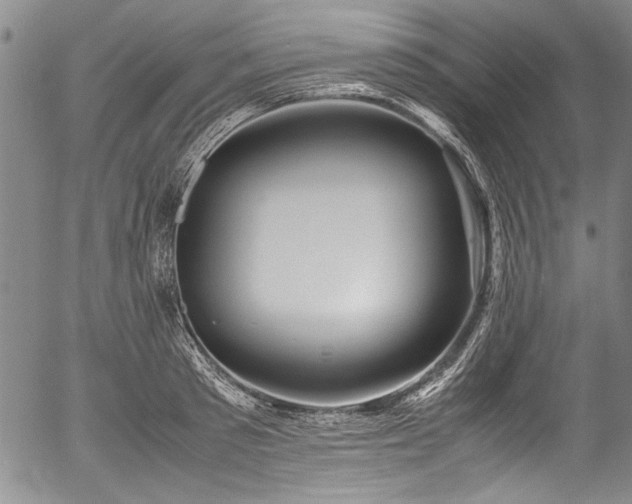X0000054450897200508011426