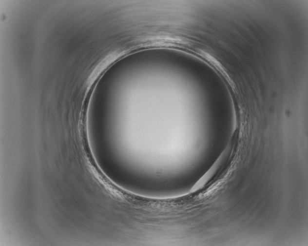 X0000054450901200508011426