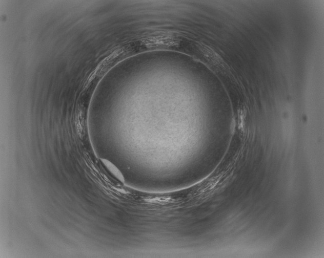 X0000054450915200508011425