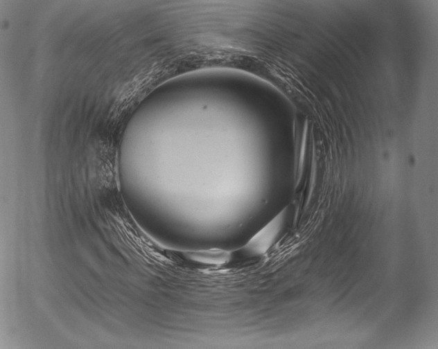 X0000054450916200508011425