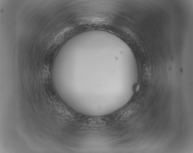 X0000054450918200508011425