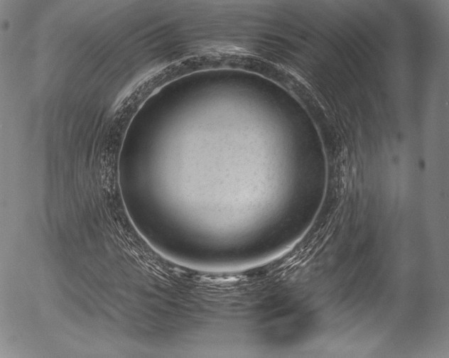 X0000054450919200508011425