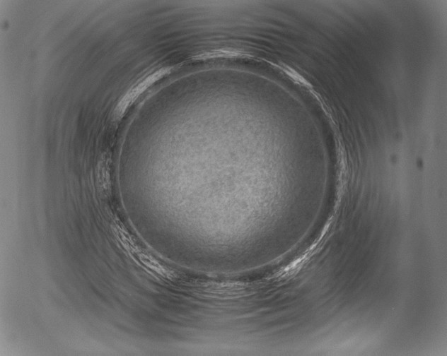 X0000054450921200508011425