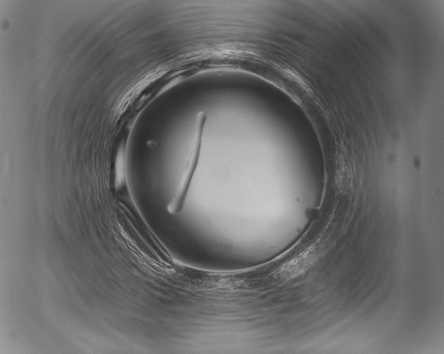 X0000054450922200508011425