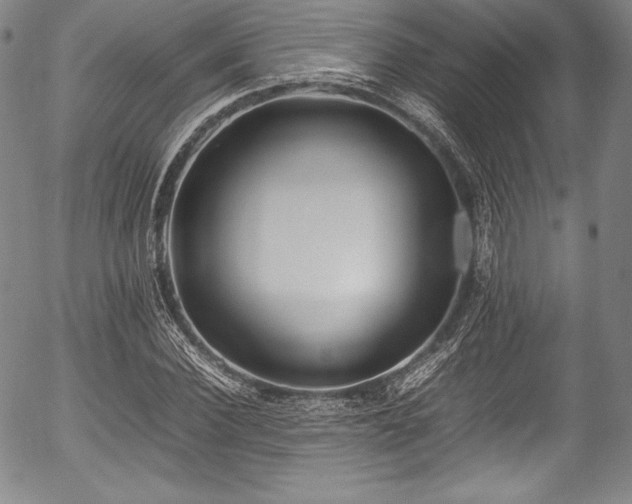 X0000054450924200508011425