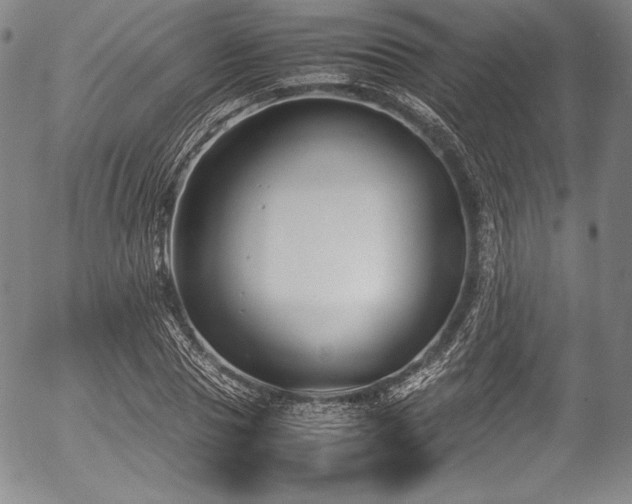X0000054450929200508011425