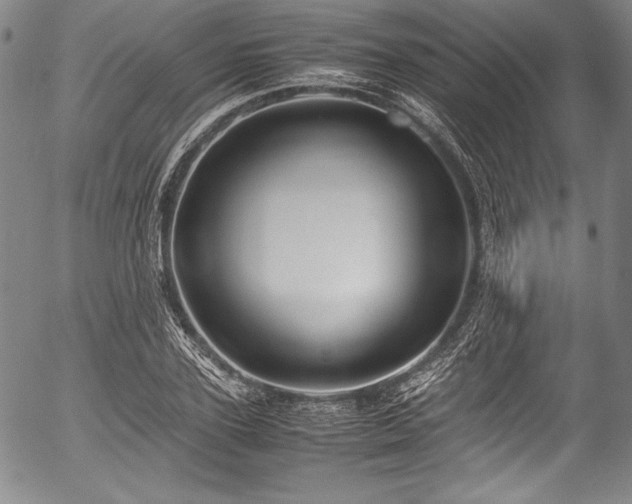 X0000054450931200508011425