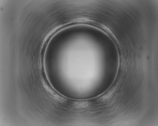 X0000054450939200508011425