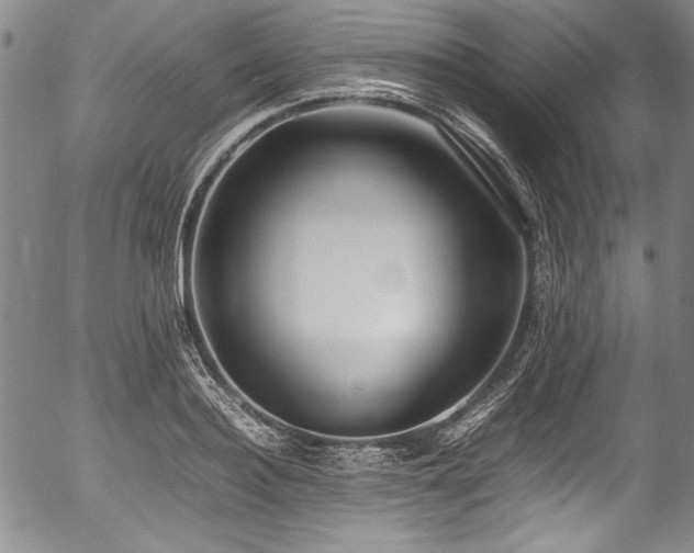 X0000054450940200508011425