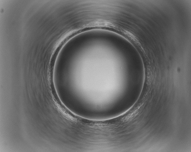 X0000054450942200508011425