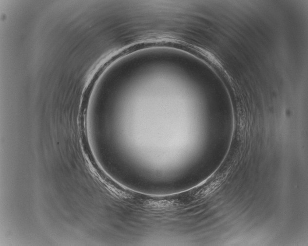 X0000054450943200508011425
